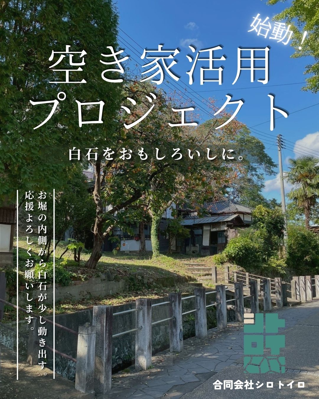 白石葛復活 プロジェクト